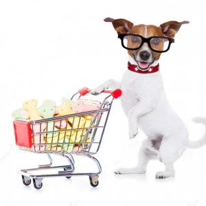 contabilidade para pet shop