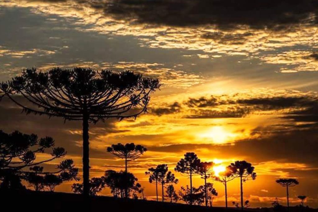 Como abrir uma empresa em Lages- SC