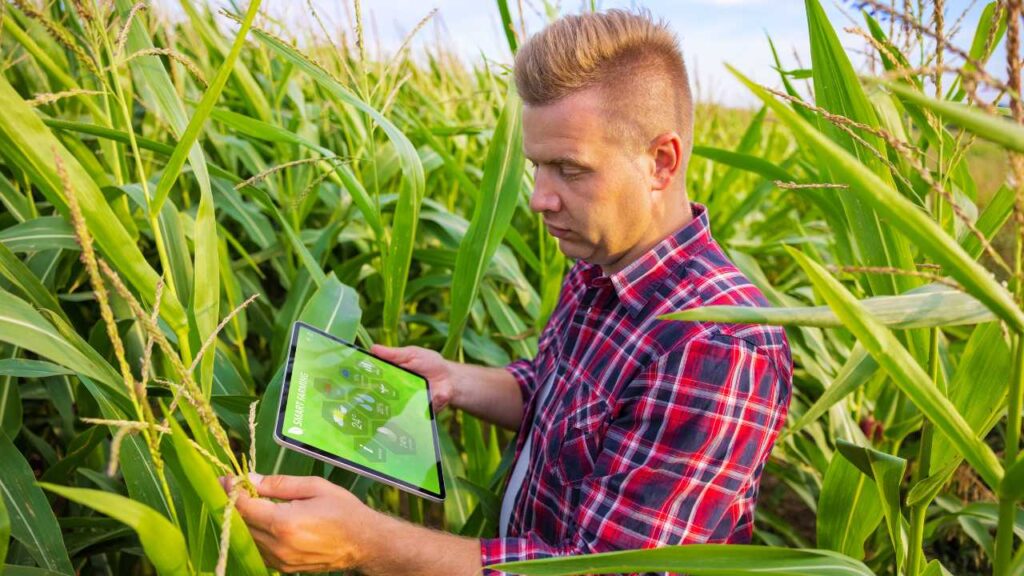 Recuperação Tributária para Agronegócio